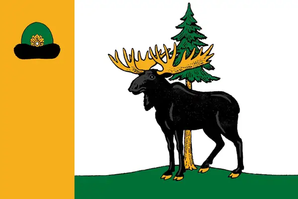 Флаг: Ермишинский район